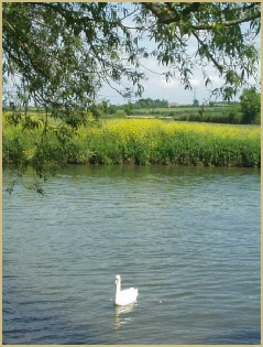 Cotswold Oxfordshire: a rural county of peaceful pastures, and the River Thames
